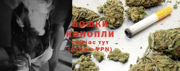 мескалин Ладушкин
