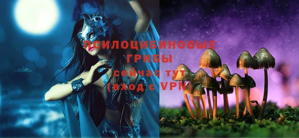 мескалин Ладушкин
